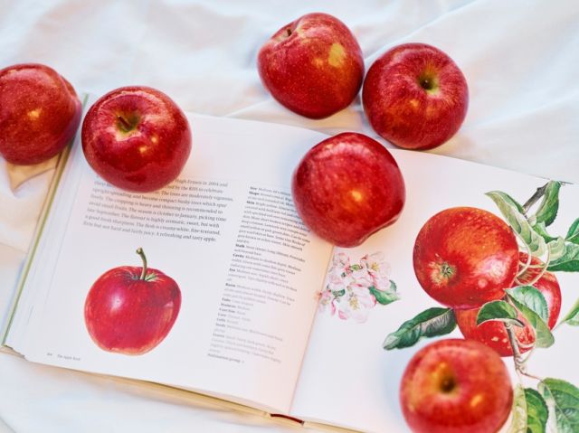 Happy National Lazy Day(yes this is a thing!) Curl up with a book with an Envy apple, the perfect snack for anytime of the day! 🍎📔

#Envyapple #Envyapples #Envyapplesg #apples #lifestyle #sliceandshare #fruitsandveggies #freshfruit #biteandbelieve