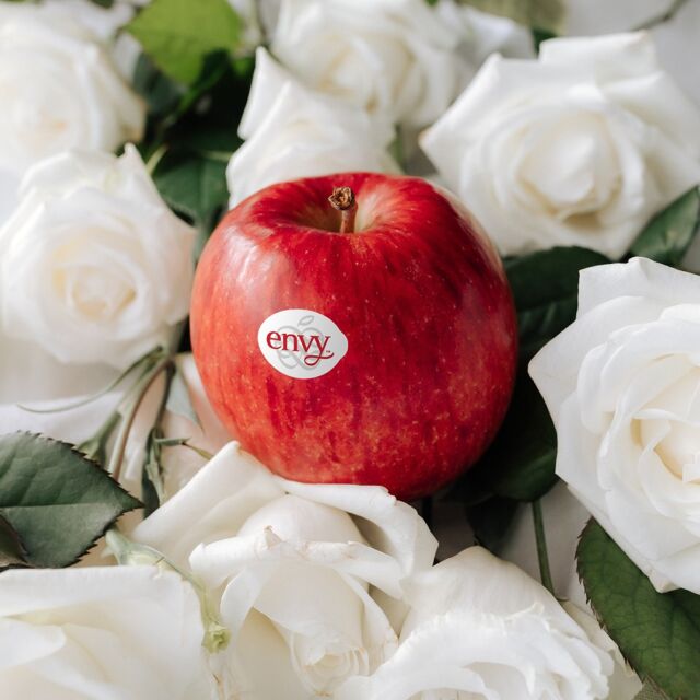 Envy Apples 🤤, the optimal all-day snack, offering flavor, texture, scent, and beauty. 😍❤️ 

#Envyapple #Envyapples #Envyapplesg #apples #lifestyle #sliceandshare #fruitsandveggies #freshfruit #BiteandBelieve