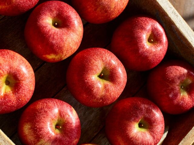 Kickstart National Apple Month with Envy Apples! 🍎 Enjoy the most refined apple experience possible with these elegant apples. 🤤💦 

#Envyapple #Envyapples #Envyapplesg #apples #lifestyle #sliceandshare #fruitsandveggies #freshfruit #biteandbelieve