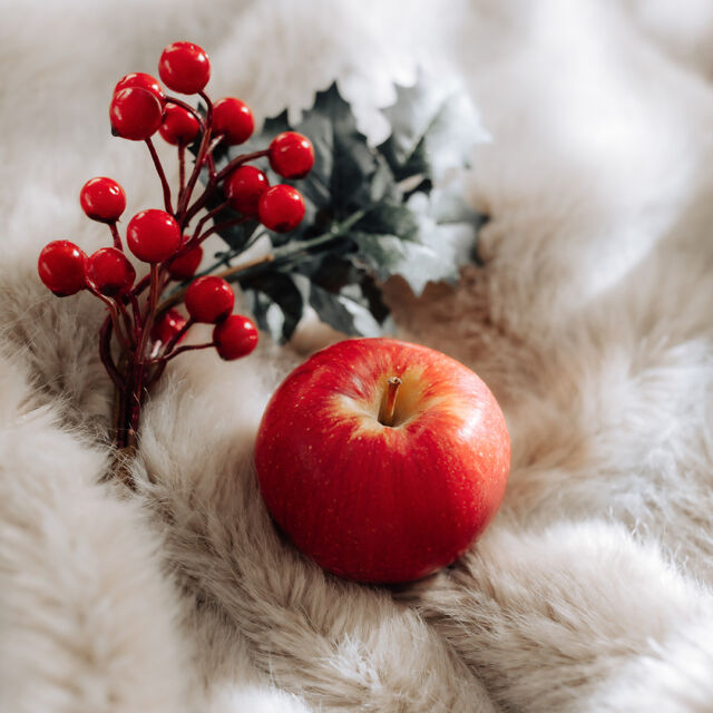 Hope everyone's had a lovely Christmas! 🎄❤️What is Christmas without the sweet, sophisticated taste and aroma of the ultimate apple? 🤔 More specifically, an Envy Apple 😉🍎❤️

#Envyapple #Envyapples #Envyapplesg #apples #lifestyle #sliceandshare #fruitsandveggies #freshfruit #biteandbelieve