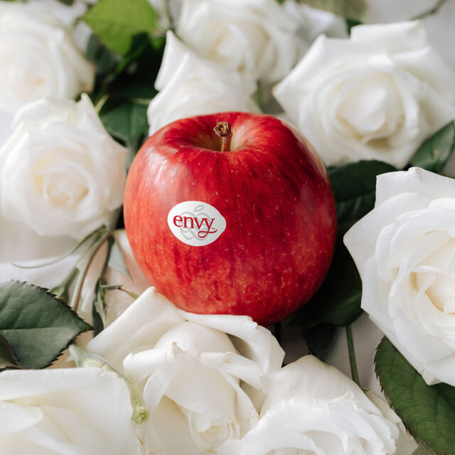 Had your apple a day yet? Give yourself the gift of health with our nutritious apples today. 🎁🍎

#Envyapple #Envyapples #Envyapplesg #apples #lifestyle #sliceandshare #fruitsandveggies #freshfruit #biteandbelieve