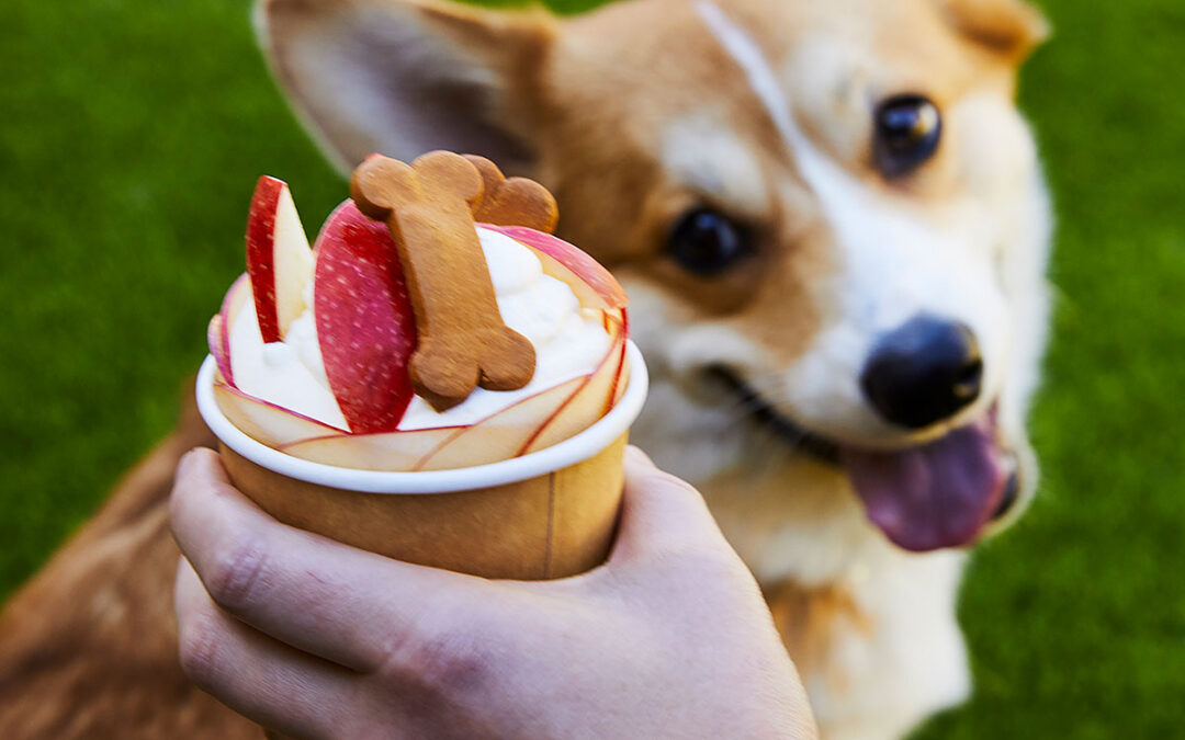 Elevated Pup Cup with ENVY™ Apples