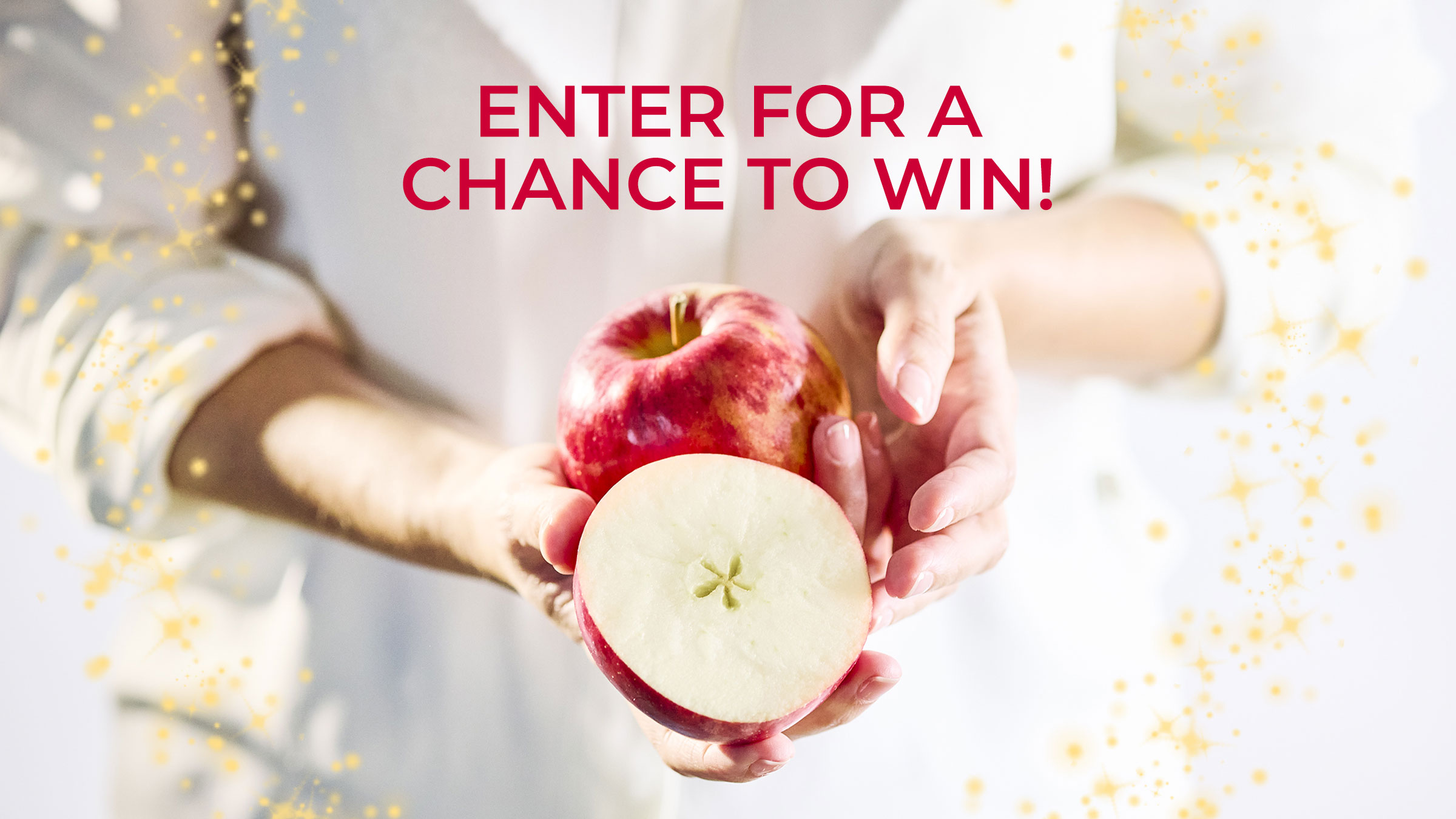 2024 Holiday Newsletter Hero Enter For A Chance 2