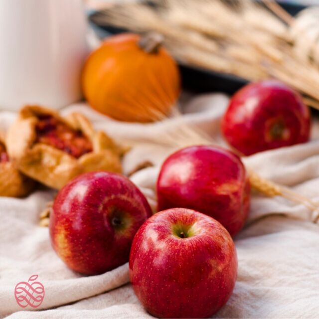Our favorite color is autumn 💗
