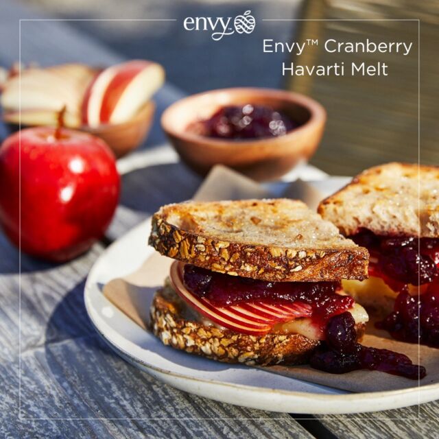 This Envy™ Cranberry Havarti Melt has us feeling thankful for leftovers! 🙌🤤