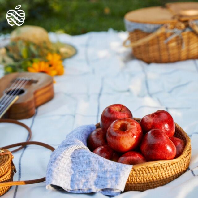 Elevate your next picnic with the indulgent crisp of Envy apples! Find Envy™ at your local retailer and make it the next delicious addition to your picnic basket! 🧺🍎✨