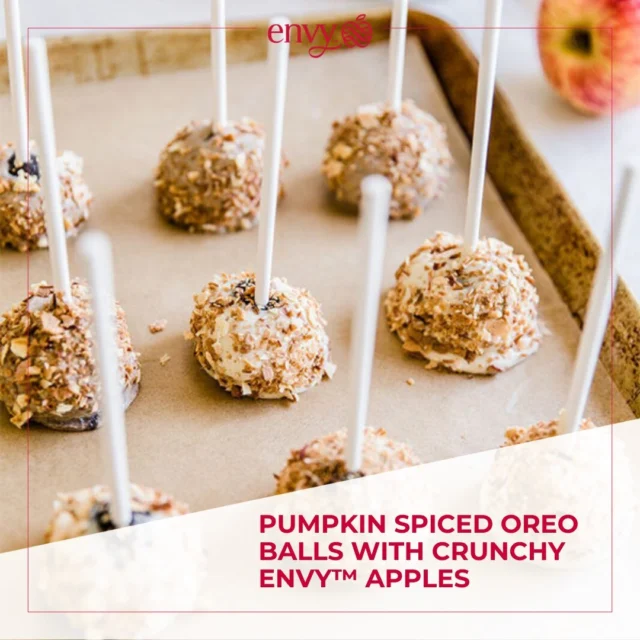 Celebrate National Pumpkin Spice Day with a twist! 🎃✨ Our ENVY™ Pumpkin Spiced Oreo Balls bring together the warmth of pumpkin spice and the crisp sweetness of ENVY™ apples for a treat that’s pure autumn bliss!

Recipe > Link in bio!